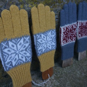 Gloves on boards2 (3)